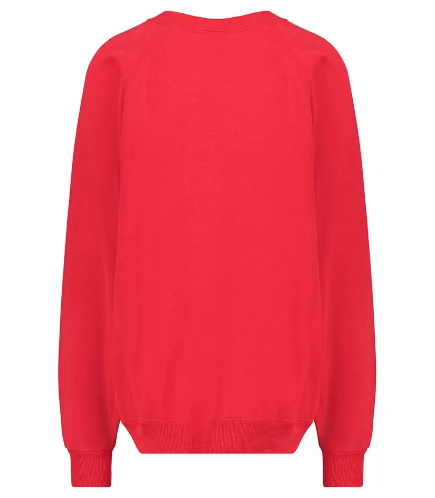 Femme We Are One Project Sweat-Shirt Vintage Brode Jane De Boy Rouge